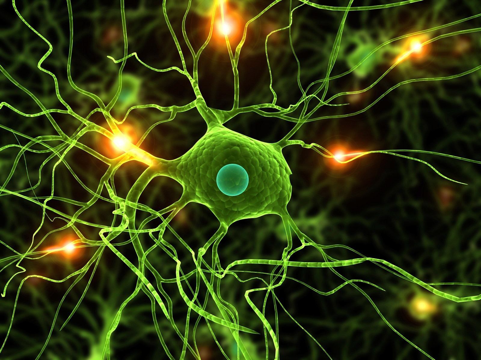 Neurona 3D